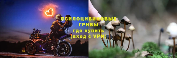 бошки Каменка