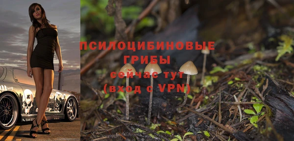 ГАЛЛЮЦИНОГЕННЫЕ ГРИБЫ Каменск-Шахтинский
