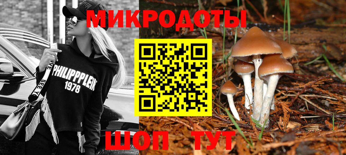 Людиново  Галлюциногенные грибы мицелий  Вход с VPN 